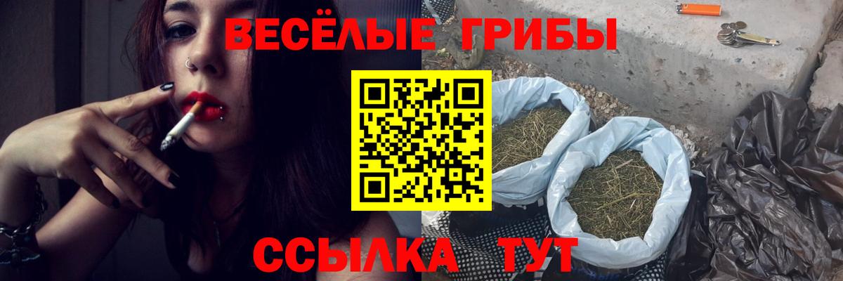Галлюциногенные грибы Psilocybe  Вход с VPN  Галлюциногенные грибы мухоморы  Дмитров 